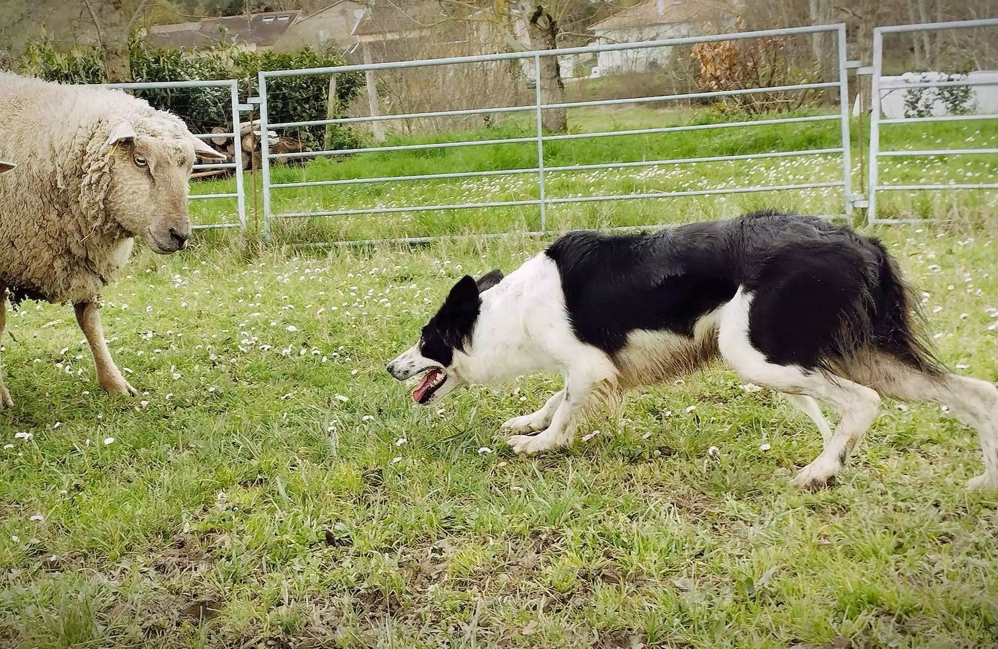 Capacidad de trabajo