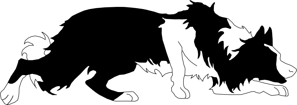 Border Collie Icon